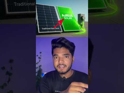 π± Sabzi waste ΰ€Έΰ₯ Solar Panel!. Day 66/100.