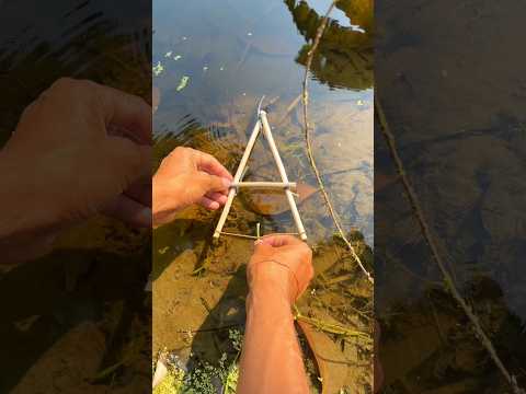 Ships with solar!#outdoors​ #camping​ #bushcraft​ #survival​ #ideas​ #lifehacks​ #creative​ #shorts​