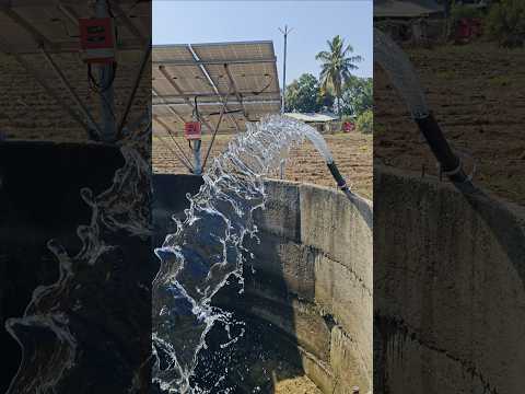 oswal 3 HP solar pump installation and Pani pressure ⚡🙌🌎#shorts #solarenergy #solarpump #shortvideo