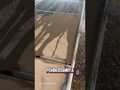 Sekali Klik, Panel Surya Langsung Kinclong