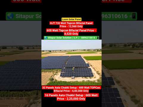 Loom Solar – HJT 730 Watt Panel Price | 600 Watt Topcon Bifacial Panel Price #loomsolar #solarpanel