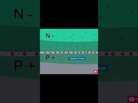 Solar Panels Explained! How They Turn Sunlight Into Electricity#short #fect #newfect