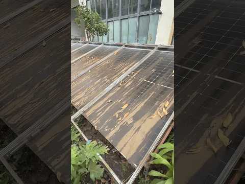 How to clean a dirty solar panel | #shorts