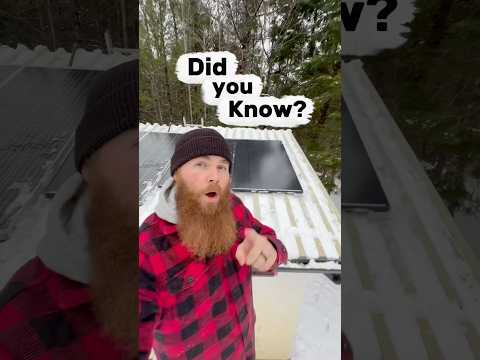 Did you know this about solar panels? ☀️ #shorts