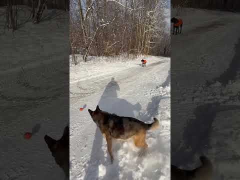 Clearing snow from the roof & solar panels