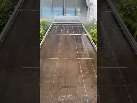 how to clean solar panels on your roof#solar #viralvideo #solarpanel #solarcleaning