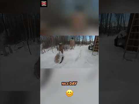 Sunny Day Power Boost: Solar Panels Go BRRR! #shorts