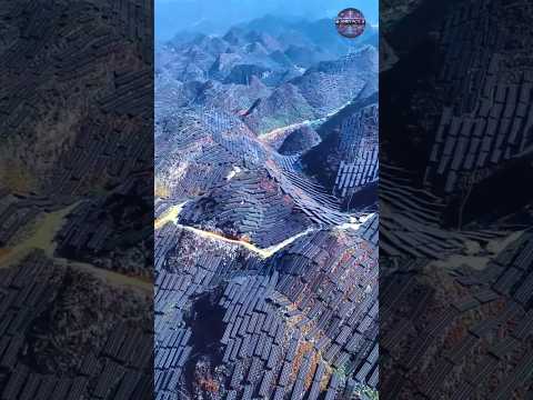 China Covers Land With Solar Panels | Massive Solar Power Project Explained | #SolarPower #Solar
