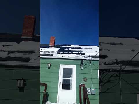 Montana Ranch โค๏ธ ๐ค ๐บ I love my solar panels ๐ #horse #equestrianjourney #cat #smallranch #snow