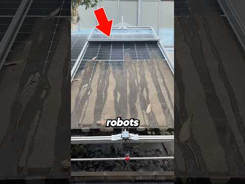 The Smartest Way to Clean Millions of Solar Panels