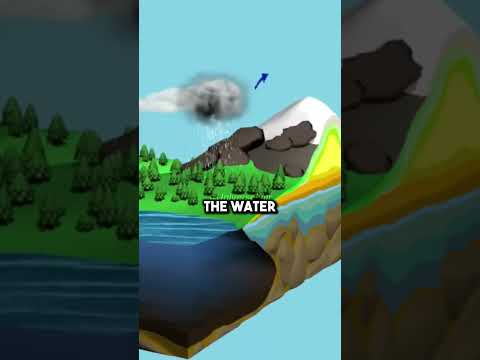 Neil deGrasse Tyson On Solar Power ☀️