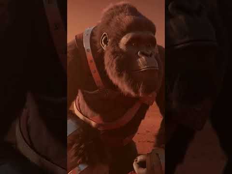 When the Martian gorilla cleaned the dust off the solar panels…