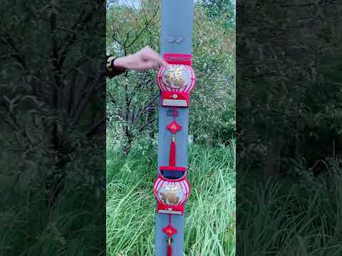 Solar Fu Lamp Daytime Charging Nighttime Blessings