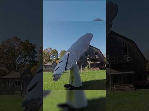 ఈ సోలార్ ప్యానెల్స్ సూర్యుడిని ఫాలో అవుతాయి! 😲☀️ | Sunflower Solar Panels