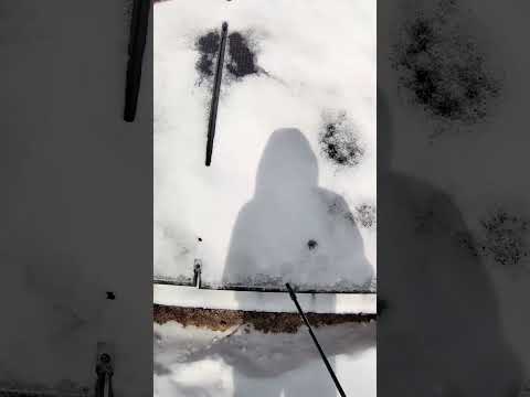 What’s the best way to de-ice the solar panels? #narrowayhomestead #offgrid #deicer #solarpanels