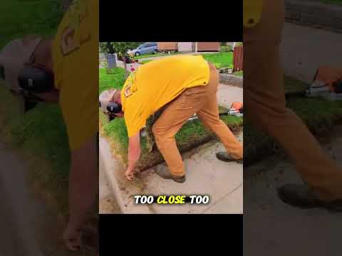 HOA Karen Painted Over My Solar Panels—Didn’t Know They Power the Neighborhood Security