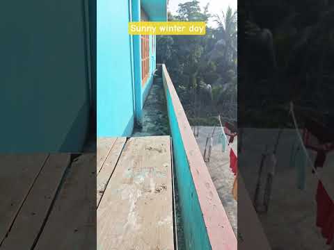 Genus 40W solar panel