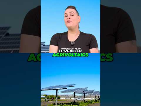 Growing Food Under Solar Panels, You Won’t Believe The Results! | 5 Amazing Things That Happened…