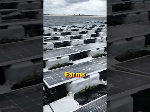 Why Solar Panels Are Floating on Water Now