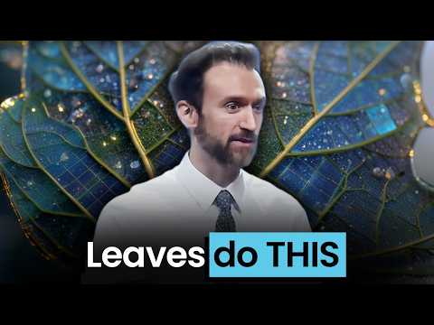 Leaves Secretly Power Life Like Solar Panels