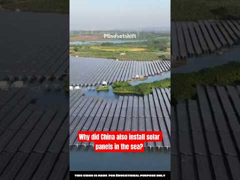 Why did China also install solar panels in the sea? #facts #shorts #usa #usashorts