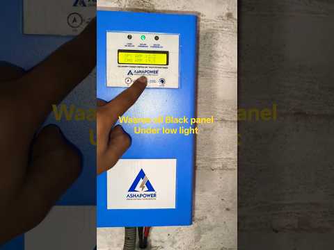 Waaree all Black solar panel performence under low light condition? #waaree #solar #ashapowermppt
