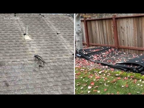 Solar worker takes panels off wrong Bay Area house; 2 years later, they’re still stacked in yard