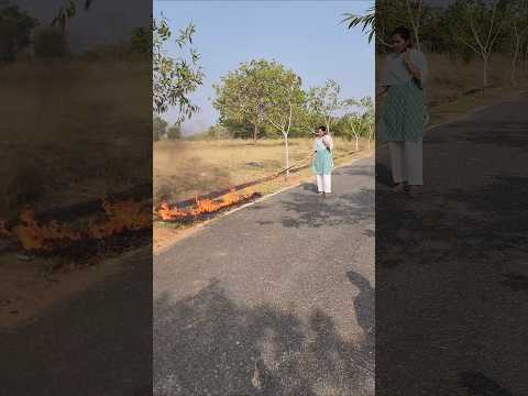 Solar Power Plant-க்கு இதைவிட better option இருக்கா❓ Striker 8 – Smart Weed Control Solution ☀️🚜