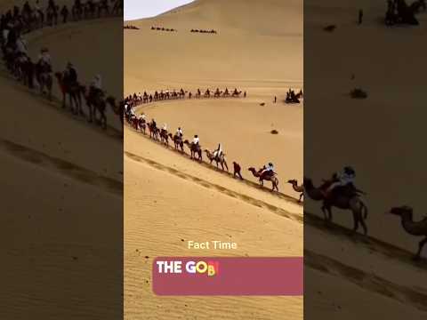 Kese solar panels ne pura china hila kar rakh diya ?? 🤔 #shorts #ytshorts #facts @RighttoShiksha