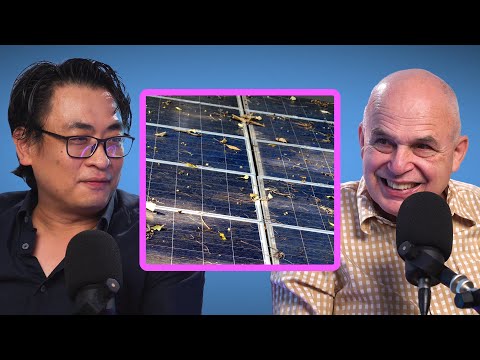 Your Solar Panels Might Not Be Working – Here’s How Australians Are Losing Money