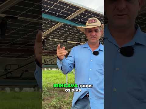 PORQUE TIVE QUE COMPRAR PLACA SOLAR