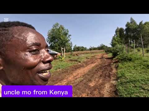 Breaking News  installation of solar panels .