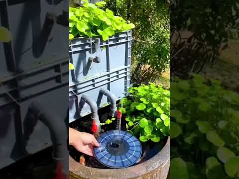 🤩Beautiful Solar Water Fountain💥 | #shorts #solar #waterfountain #gadgets
