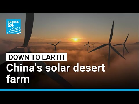 Solar desert power: Inside China’s mega farm • FRANCE 24 English