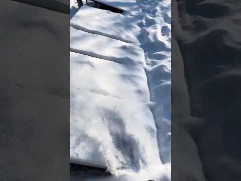 Snow Blower on Solar Panels After Winter Storm in Georgia #offgrid ##shtf #survival #prepping #watt