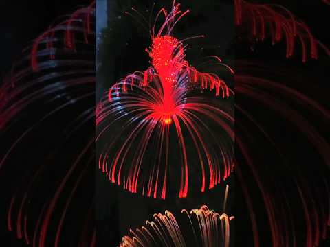 Jellyfish Solar Light #viral #shortvideo #shortsfeed
