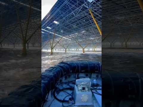 1,200 Hectares of Solar — Right in the Ocean! 😲