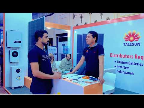 Talesun Solar Panels Review 2026 | Company Profile, Quality Test & Price in Pakistan | Solar Help