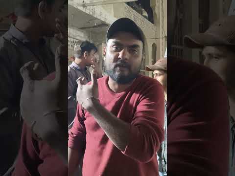 Inverex Solar Panel 595w Jollywood Delivery | Shahmeer Solar House