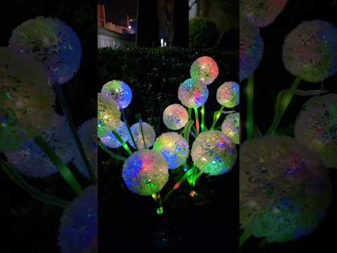 Viral solar lights from Meesho#solarlight#viralfinds #meeshohaul #shortsindia#shorts