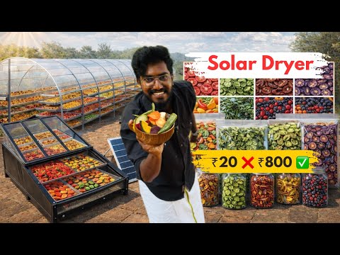 Solar Dryer 🌞 Start Your Business 📈 Revolution in India ☀️🌾 | Rudra Solar Energy | AgroTill |