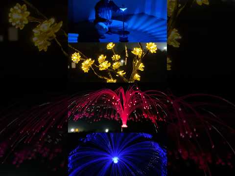 Best Solar Garden Lights👌 #solargardenlights #shorts #shortsfeed