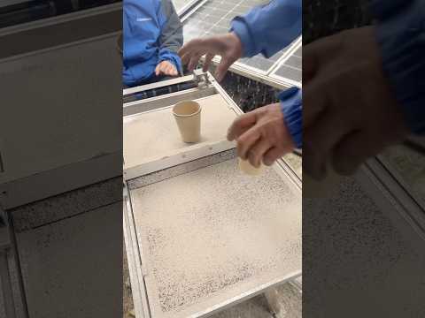 Automatic Brush Solar Panel Cleaning Stability Demo #superpiping