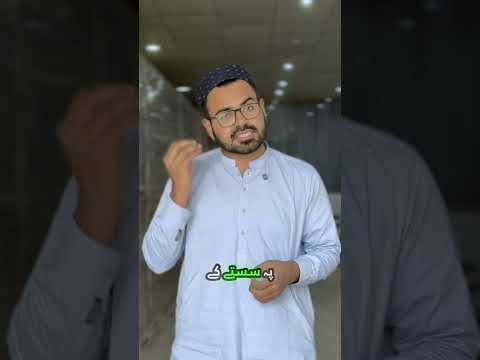 High-efficiency solar panels don’t always have to be expensive! ⚡️☀️