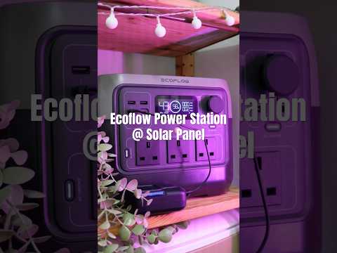 We keep Ecoflow power station & solar panel at home camping 🔋❤️😍 #ecoflow #shopeeytdeals #camping