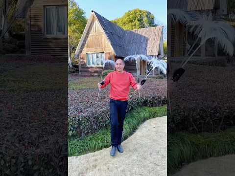 Automatic Solar Light โ Smart Garden Lighting #solarlight #gardenlight #smartgadgets #youtubeshorts