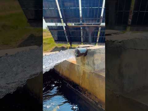 Shezad Pump key Kam Solar panel par chalny waly Pump #solar  #Tubewell   #motor