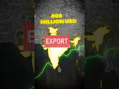 US Slaps 126% Tariff on Indian Solar Exports #solarpanel #renewableenergy