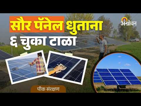 Solar Panel Cleaning: सौर पॅनेल धुण्याची सुरक्षित पद्धत कोणती? | Agrowon