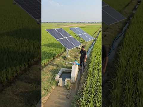 Solar Water Pump | Smart Farming Technology